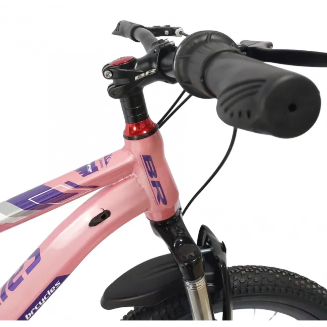 Bicicleta Copii BR BR-D2007R 2025 - 20 inch, Roz