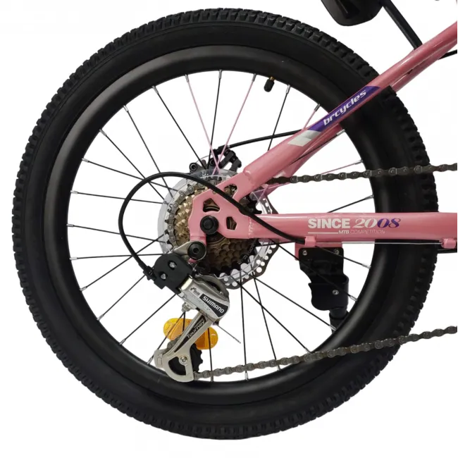 Bicicleta Copii BR BR-D2007R 2025 - 20 inch, Roz