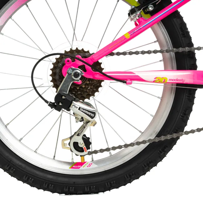 Bicicleta Copii DHS Modesty - 24 Inch, Roz