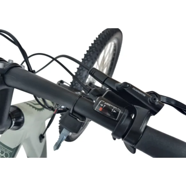Bicicleta electrica Graveler 53312 - 28 inch, M, Gri