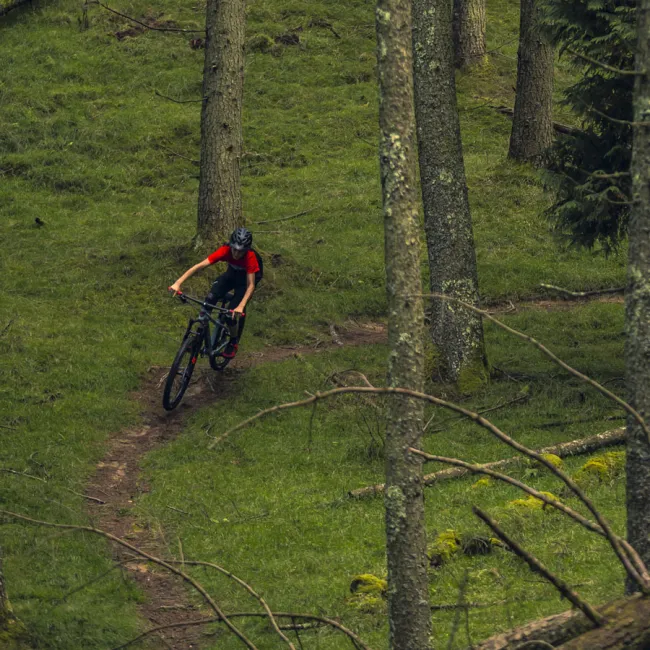 Bicicletă copii MTB Trail Orbea LAUFEY 24 H30 - Spicy Lime | Corn Yellow (Gloss)