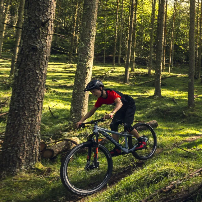 Bicicletă copii MTB Trail Orbea LAUFEY 24 H30 - Spicy Lime | Corn Yellow (Gloss)
