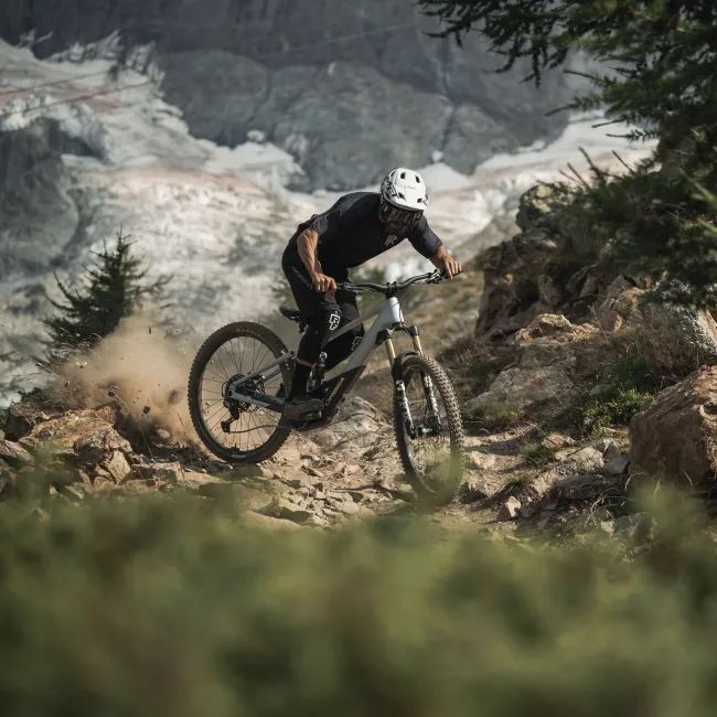 Orbea WILD M20 Halo Silver-Tanzanite Carbon View - bicicletă electrică eMTB Enduro