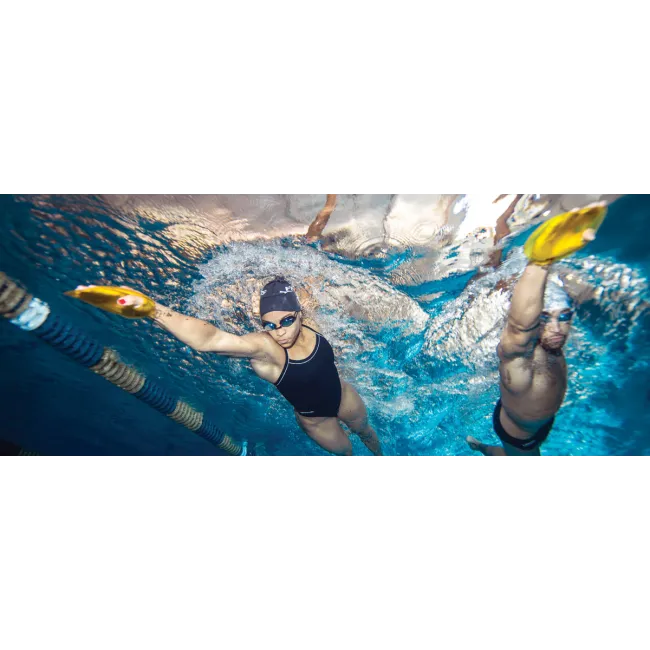 Finis Agility palmare