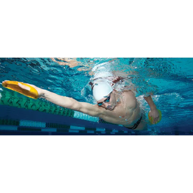 Finis Agility palmare