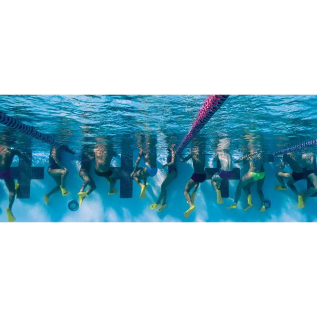 Finis Zoomers Gold labe scurte