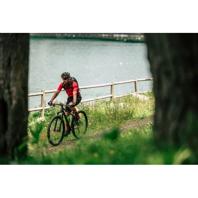 Merida Big.Nine 700 - bicicleta MTB hardtail XC 29" - verde Ever Green