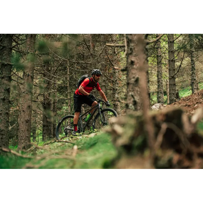 Merida Big.Nine 700 - bicicleta MTB hardtail XC 29" - verde Ever Green