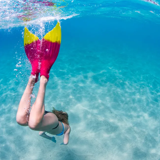 Finis - labe inot adulti Luna Monofin - roz inchis pepene verde fluo