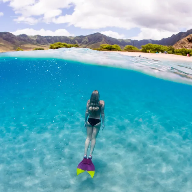 Finis - labe inot adulti Luna Monofin - roz inchis pepene verde fluo