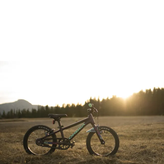 Orbea - bicicleta copii MX 24 Park - galben fluo-rosu