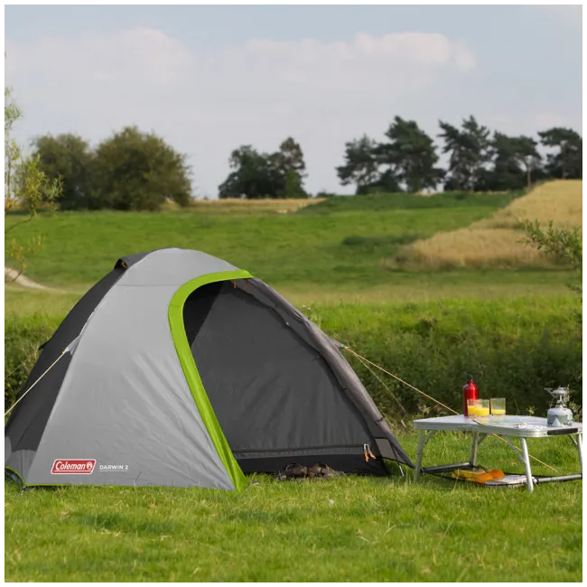 Cort Coleman Darwin 2 gri - 2176903