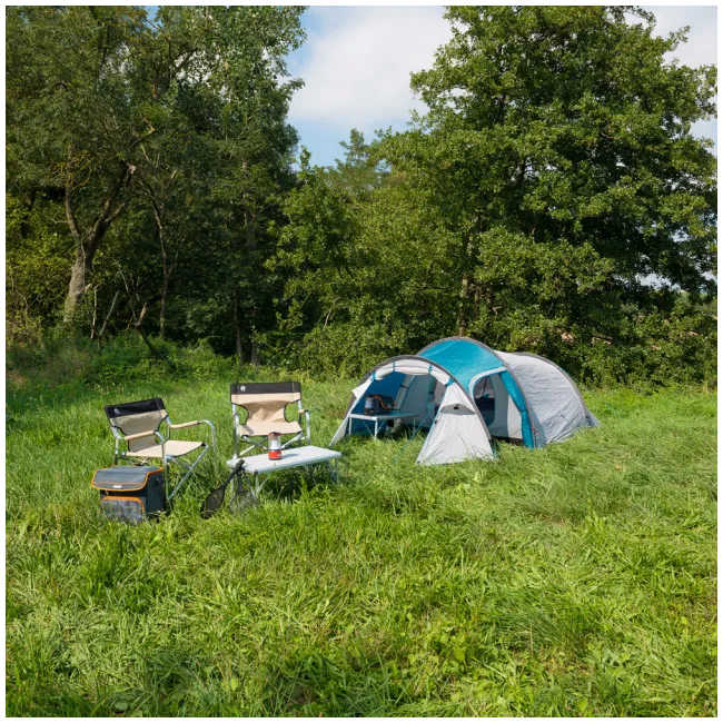 Cort Cort Coleman Cortes 2 Albastru - 2000035208