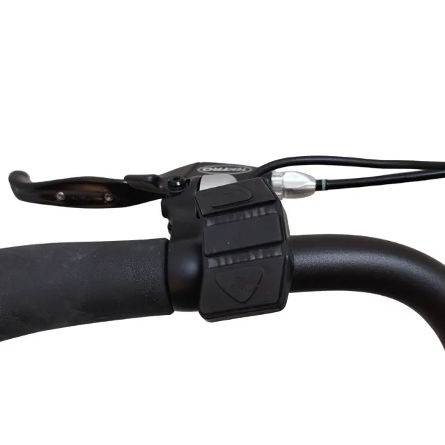 Bicicleta electrica Devron 28220 - 28 inch, M, Negru