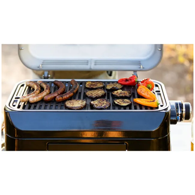 Gratar Campingaz Attitude 2 GO CV - 2000036952