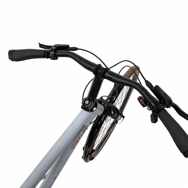Bicicleta Trekking Kreidler 52856 - 28 inch, M, Gri