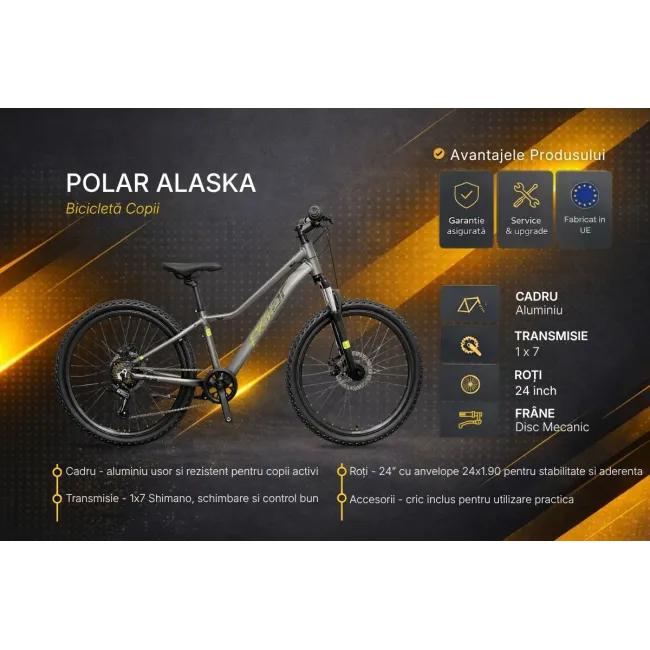 Bicicleta Copii polar Alaska - 24 Inch, Gri