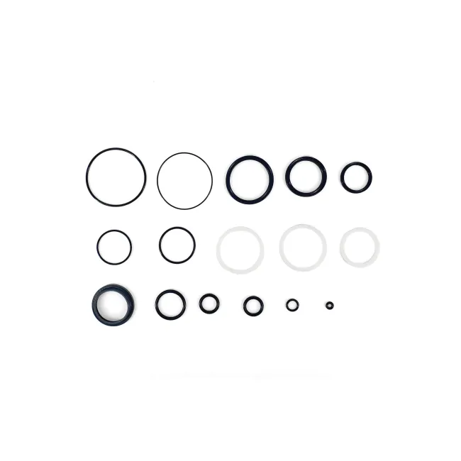 KIT SERVICE ND TUNED ROCKSHOX SUPER DELUXE MAIN Set