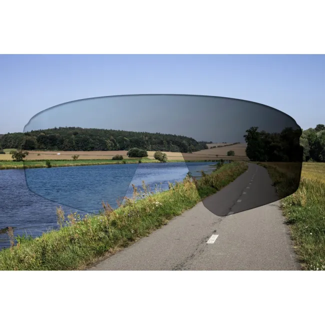 Ochelari Force Electra Negri, lentile fotocromatice