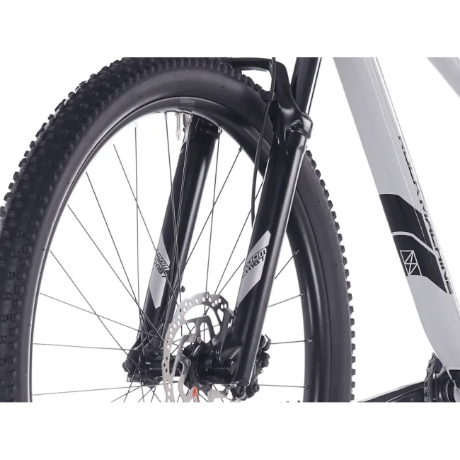 Bicicleta Rock Machine Blizz 30 29 Gloss Limerock Grey 38cm - (S)