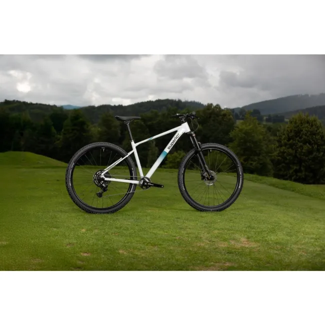 Bicicleta Superior XC 6.2 29 Gloss Grey/Petrol 20 - (L)