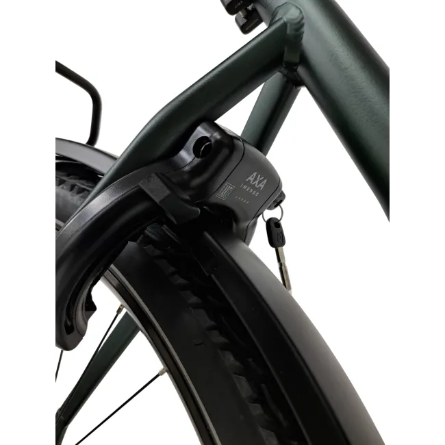 Bicicleta electrica Trekking  Stella Tierra - 29 inch, 10V, L, Verde mat