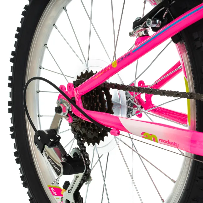 Bicicleta Copii DHS Modesty - 20 Inch, Roz Reambalat