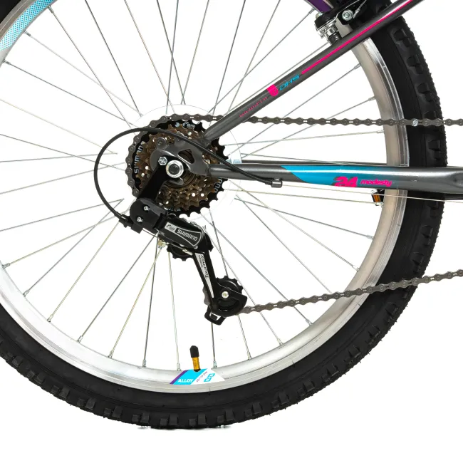 Bicicleta Copii DHS Modesty - 24 Inch, Gri Reambalat