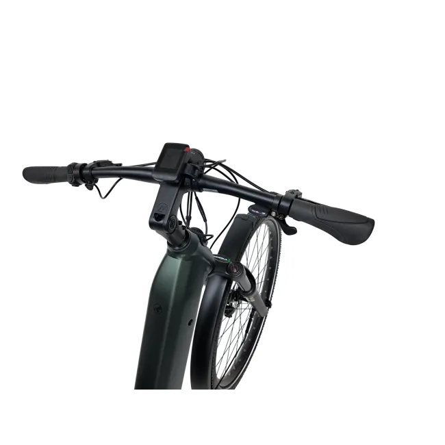 Bicicleta electrica Trekking  Stella Tierra - 29 inch, 10V, L, Verde