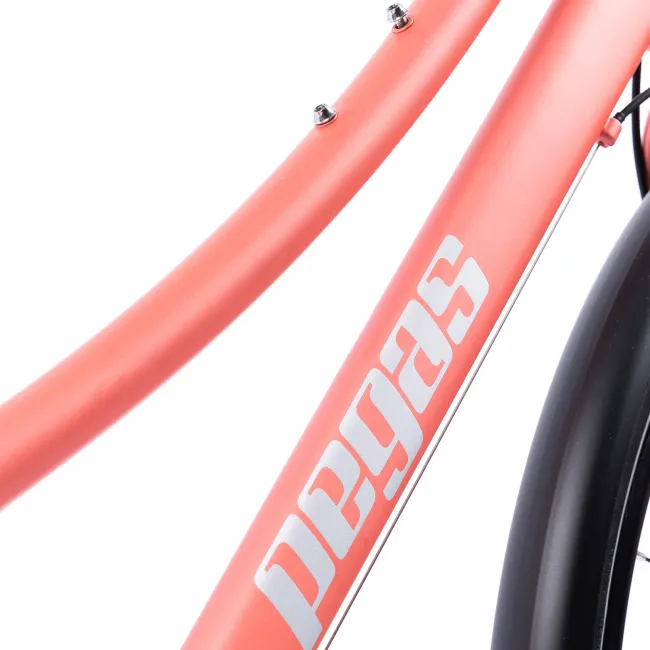 Bicicleta Oras Pegas Hoinar - 28 inch, M, Roz