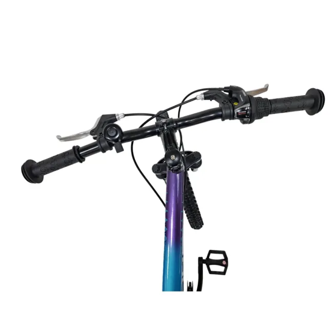 Bicicleta Copii Dhs Terrana 2023B, model 2026 - 20 Inch, Albastru-Violet