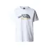The North Face - tricou - M Mountain Line - Albastru