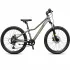 Bicicleta Copii polar Alaska - 24 Inch, Gri