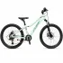 Bicicleta Copii polar Alaska - 24 Inch, Gri